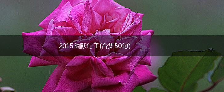 2015幽默句子(合集50句),第1张