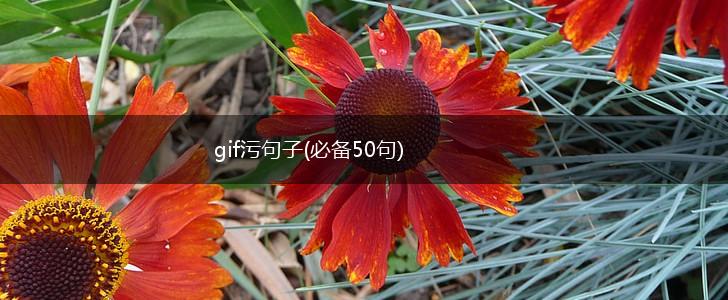 gif污句子(必备50句),第1张