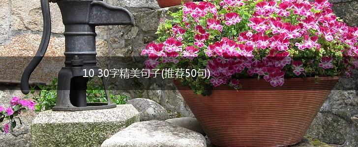 10 30字精美句子(推荐50句),第1张