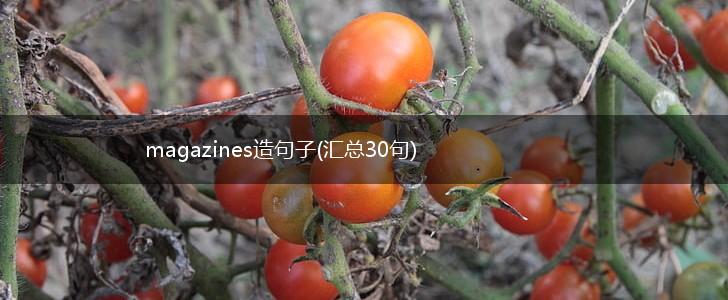 magazines造句子(汇总30句),第1张