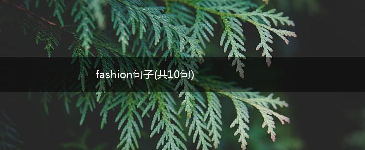 fashion句子(共10句),第1张