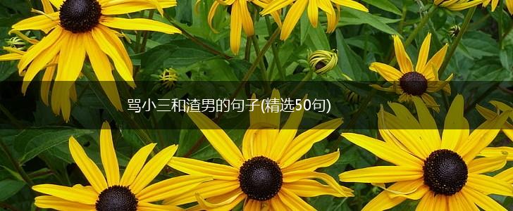 骂小三和渣男的句子(精选50句),第1张
