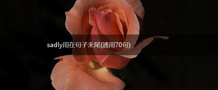sadly用在句子末尾(通用70句),第1张