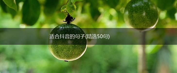 适合抖音的句子(精选50句),第1张