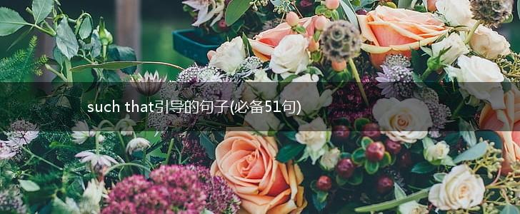 such that引导的句子(必备51句),第1张