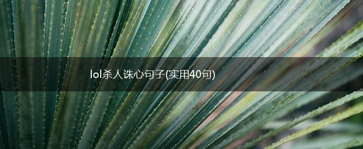 lol杀人诛心句子(实用40句),第1张