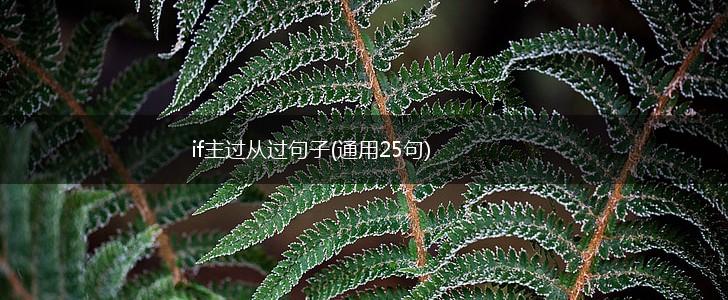 if主过从过句子(通用25句),第1张