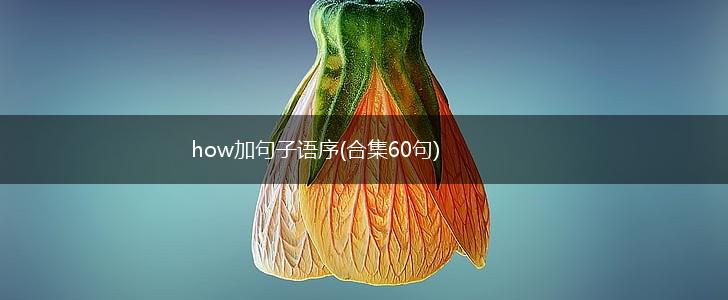 how加句子语序(合集60句),第1张