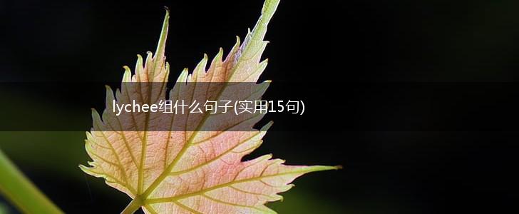 lychee组什么句子(实用15句),第1张