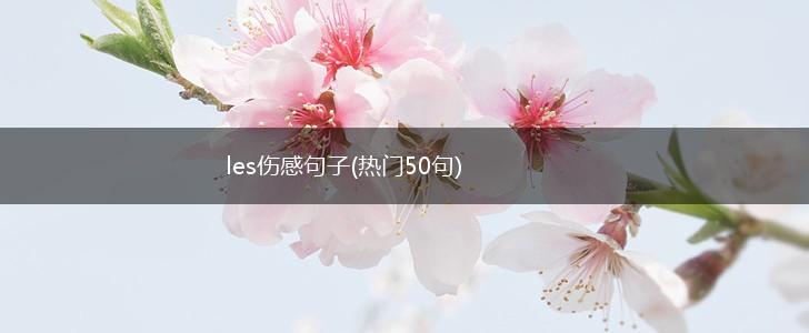 les伤感句子(热门50句),第1张