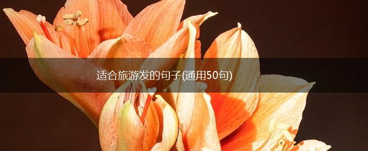 适合旅游发的句子(通用50句),第1张
