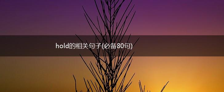 hold的相关句子(必备80句),第1张