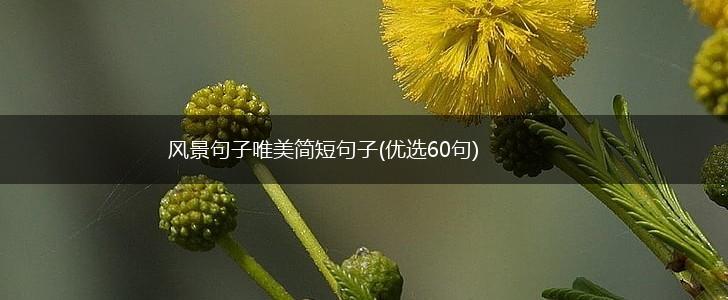 风景句子唯美简短句子(优选60句),第1张