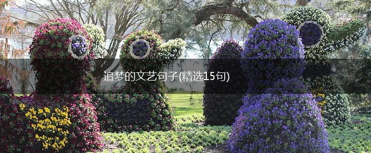 追梦的文艺句子(精选15句),第1张