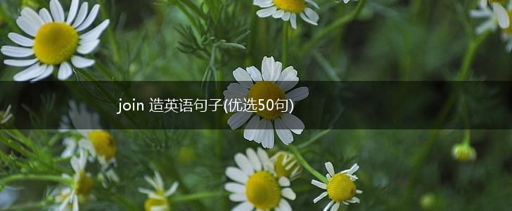 join 造英语句子(优选50句),第1张