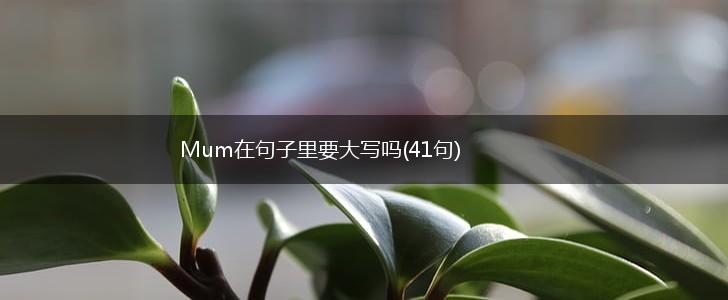 Mum在句子里要大写吗(41句),第1张