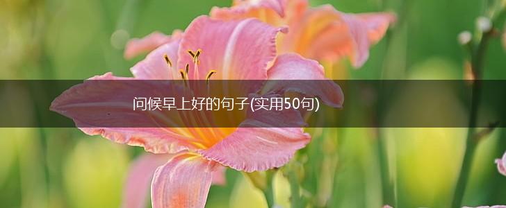 问候早上好的句子(实用50句),第1张