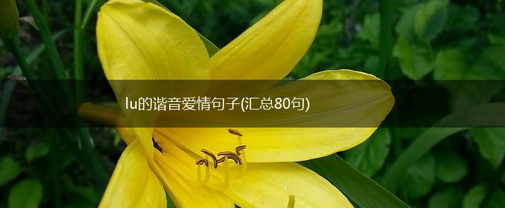 lu的谐音爱情句子(汇总80句),第1张