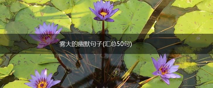 雾大的幽默句子(汇总50句),第1张