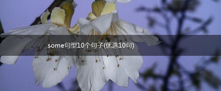 some句型10个句子(优选10句),第1张