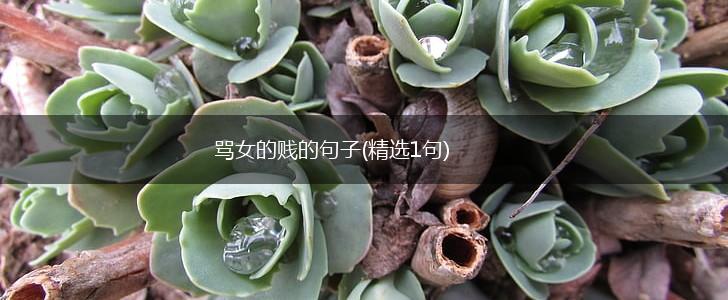 骂女的贱的句子(精选1句),第1张
