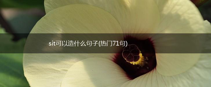 sit可以造什么句子(热门71句),第1张