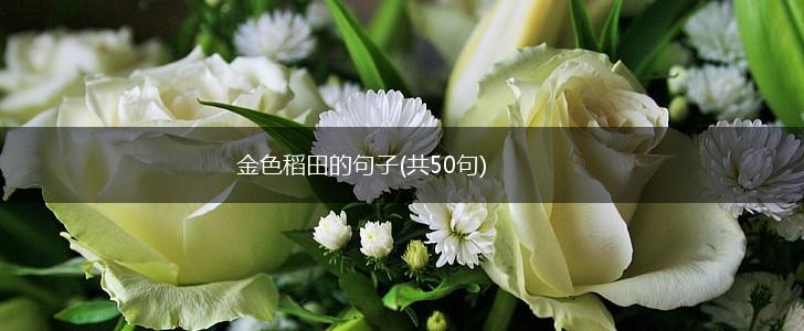 金色稻田的句子(共50句),第1张