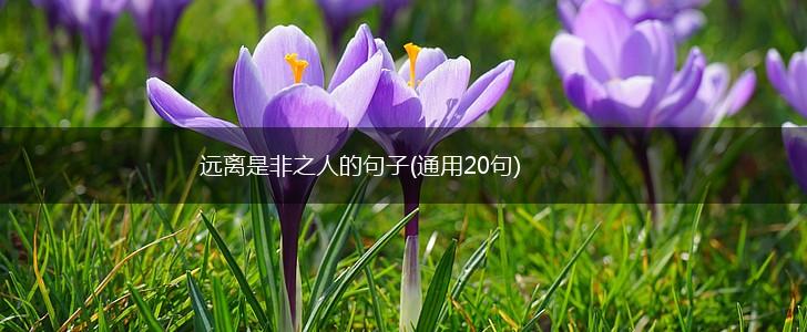 远离是非之人的句子(通用20句),第1张