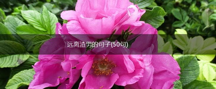 远离渣男的句子(50句),第1张