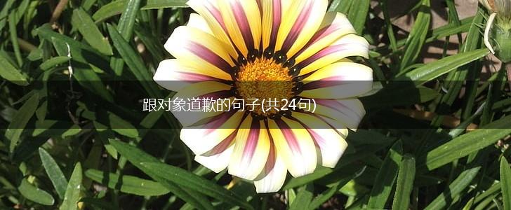 跟对象道歉的句子(共24句),第1张
