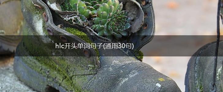hlc开头单词句子(通用30句),第1张