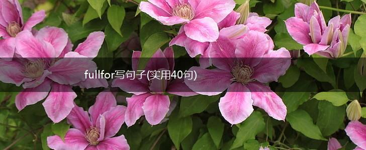 fullfor写句子(实用40句),第1张