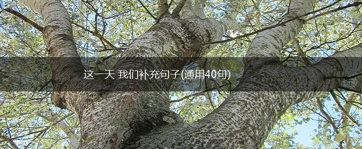 这一天 我们补充句子(通用40句),第1张