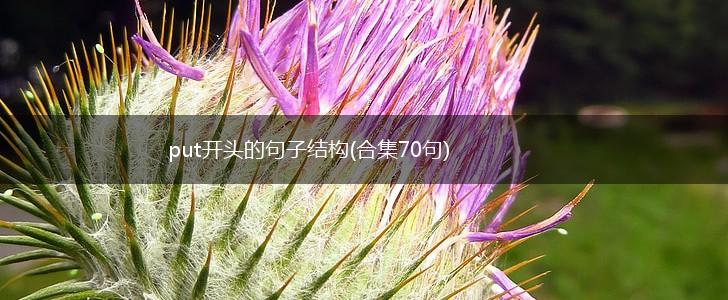 put开头的句子结构(合集70句),第1张