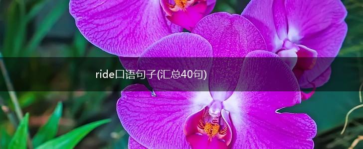ride口语句子(汇总40句),第1张