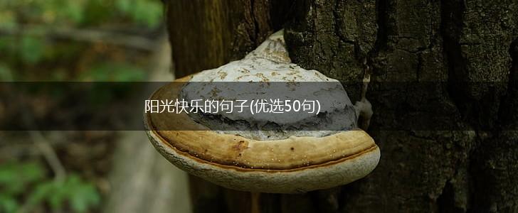 阳光快乐的句子(优选50句),第1张
