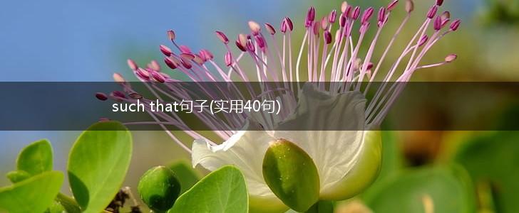 such that句子(实用40句),第1张