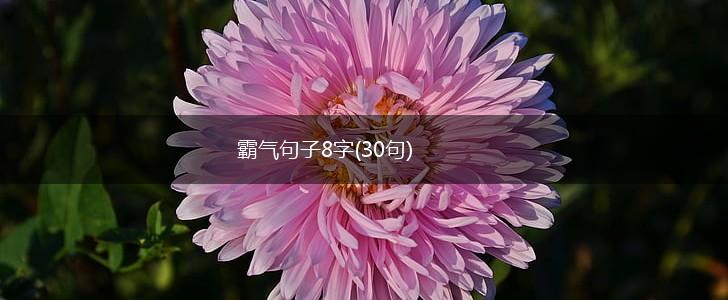 霸气句子8字(30句),第1张
