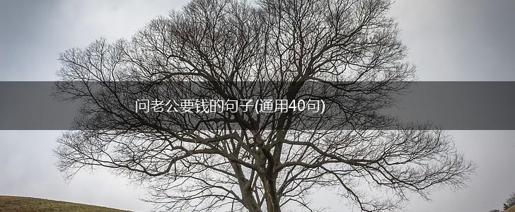问老公要钱的句子(通用40句),第1张