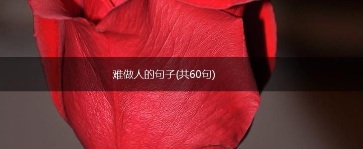难做人的句子(共60句),第1张