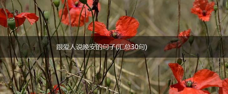 跟爱人说晚安的句子(汇总30句),第1张