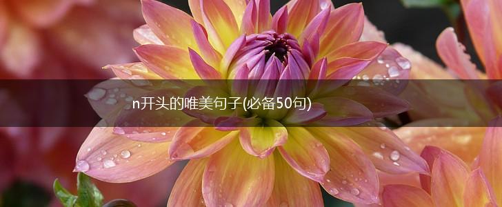 n开头的唯美句子(必备50句),第1张