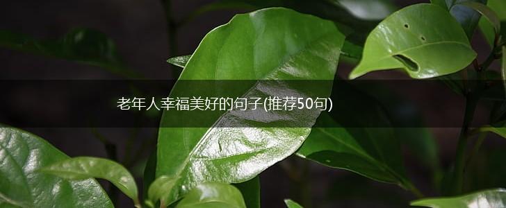 老年人幸福美好的句子(推荐50句),第1张