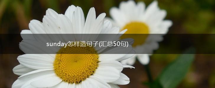 sunday怎样造句子(汇总50句),第1张