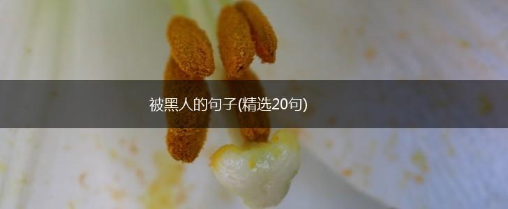 被黑人的句子(精选20句),第1张