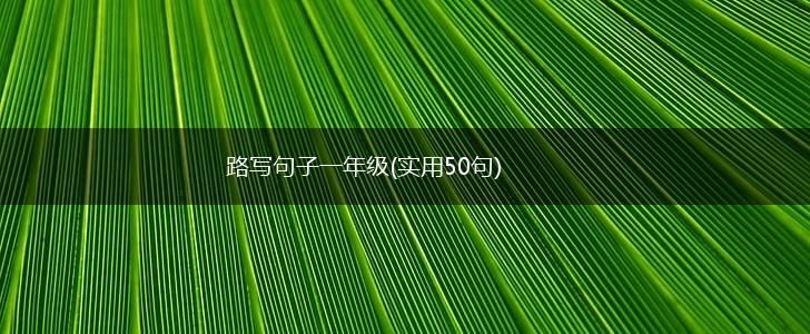 路写句子一年级(实用50句),第1张
