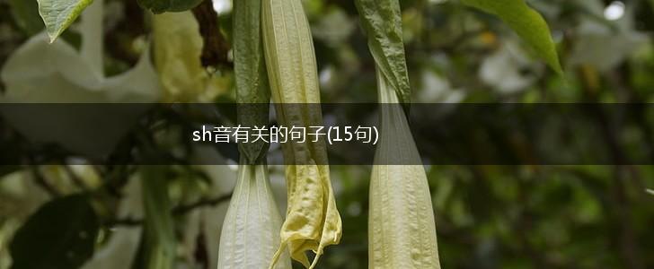 sh音有关的句子(15句),第1张