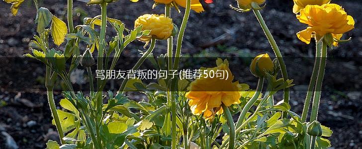 骂朋友背叛的句子(推荐50句),第1张