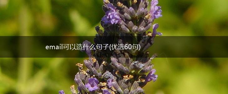 email可以造什么句子(优选60句),第1张
