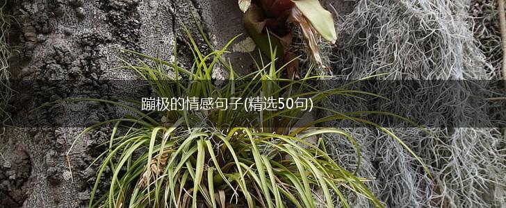 蹦极的情感句子(精选50句),第1张